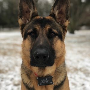 Meet your Posher, Brittany